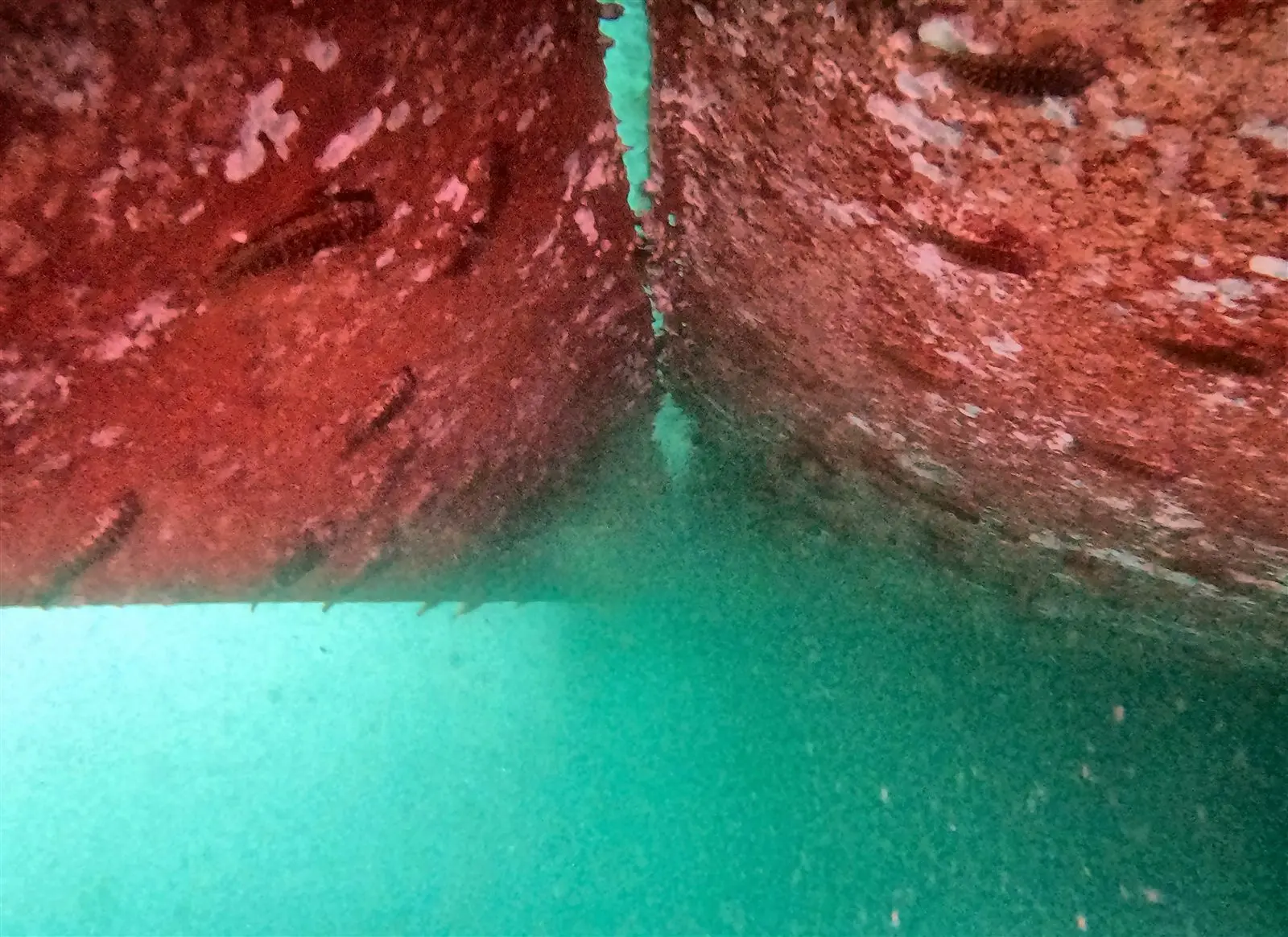 Buzo de ULISUB inspeccionando estructura sumergida bajo el agua