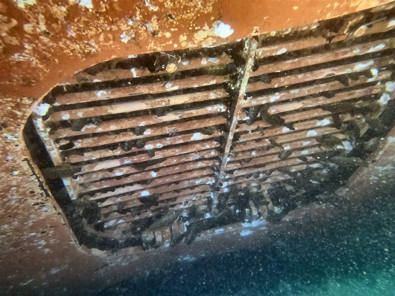 Inspección subacuática de rejilla de captación en sistema hidráulico